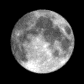 herdarkmoon profile photo