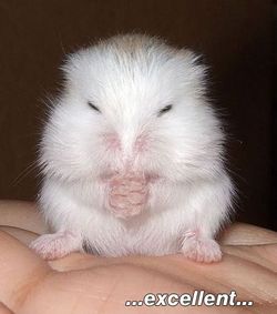 AzbyDood's Profile Photo