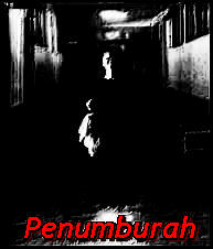 Penumburah's Profile Photo
