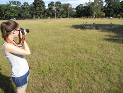 ferpoutanggi's Profile Photo