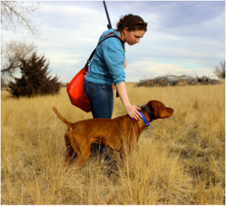 plesirasve19's Profile Photo