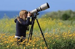 untasudo's Profile Photo