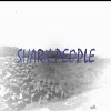 Video screenshot: ShrkPpl - SHARK PEOPLE