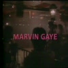 Video screenshot: Marvin Gaye - Sexual Healing