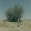 Video screenshot: video armageddon - video armageddon