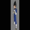 Video screenshot: T2016 - Saiyans Tribute