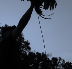 Bigthumbs93's Profile Photo