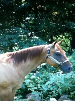 Dunnee12's Profile Photo